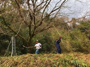 写真：積み込み作業中