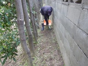 写真：人力除草