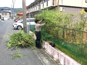 写真：剪定作業