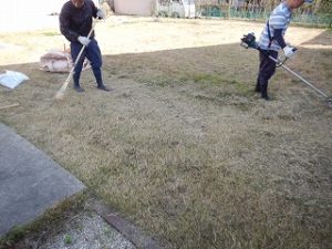 写真：ゴミの集積