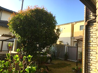 写真：作業前