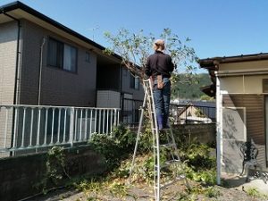 写真：作業中