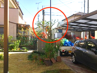 写真：作業後