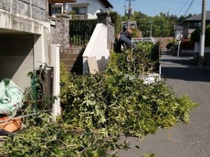 写真：集草積載ゴミ処理