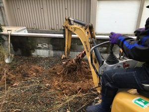 写真：重機による伐根作業