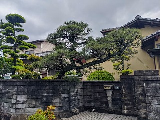 写真：作業後