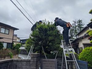 写真：作業中