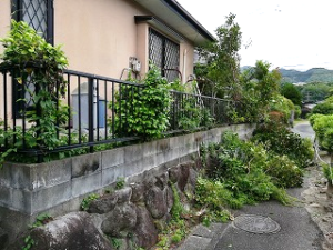 写真：剪定ゴミ