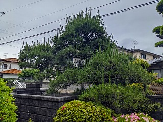 写真：作業前