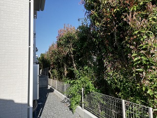 写真：作業前