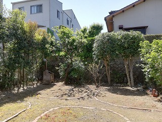 写真：作業後