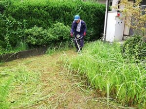 写真：草刈り作業中